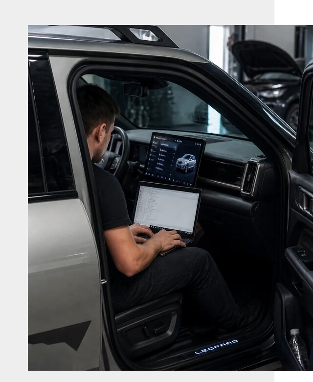 Русификация BYD Leopard 3 в Анапе по цене от 20664 р. | ФастМобиль-Нпа